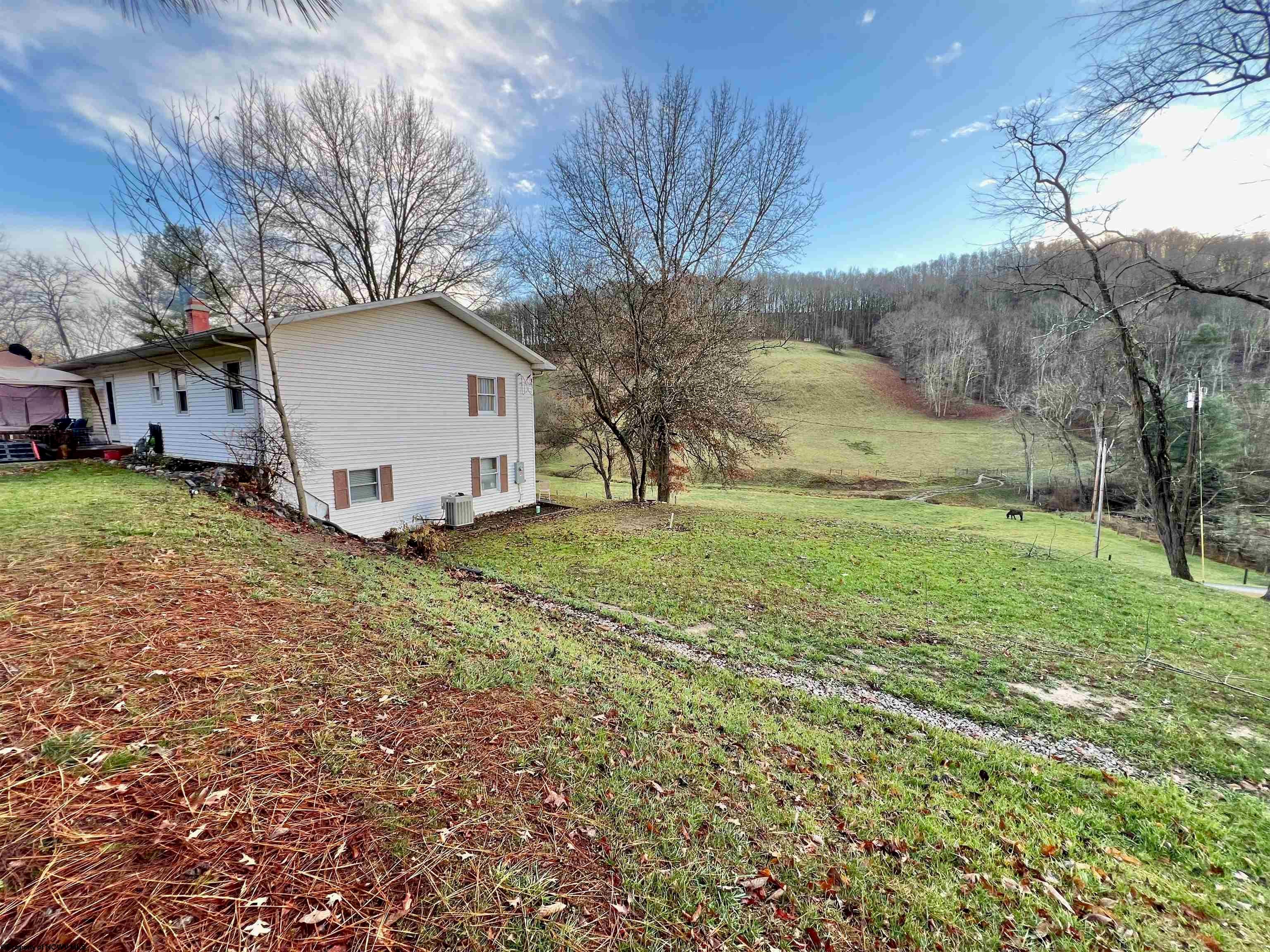 553 Pogue Run Road Burton, WV 26562 - Photo 45 of 47 Gallery Image 45