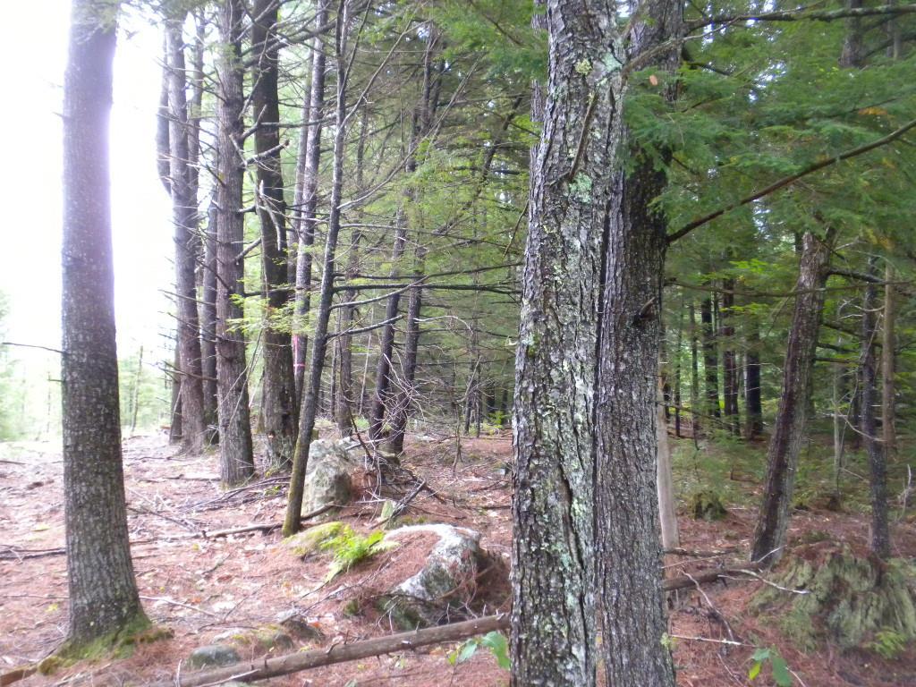 7 River Road Limington, ME 04049 - Photo 21 of 26 Photo