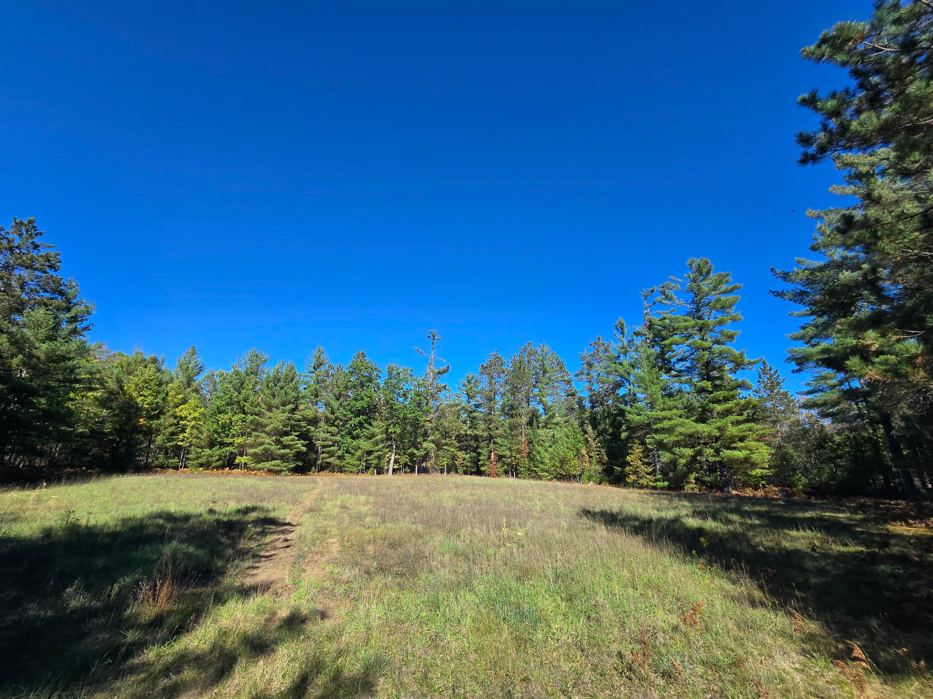 455 East Helmer Lake Road Fairview, MI 48621 - Photo 45 of 86 20250928_150547