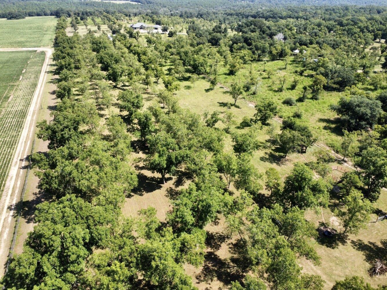14253 Woodhaven Dairy Road East Summerdale, AL 36580 - Photo 50 of 50