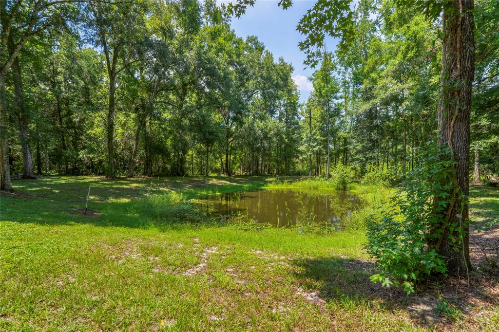 19353 Campground Road Brooksville, FL 34601 - Photo 36 of 55 Gallery Image 36