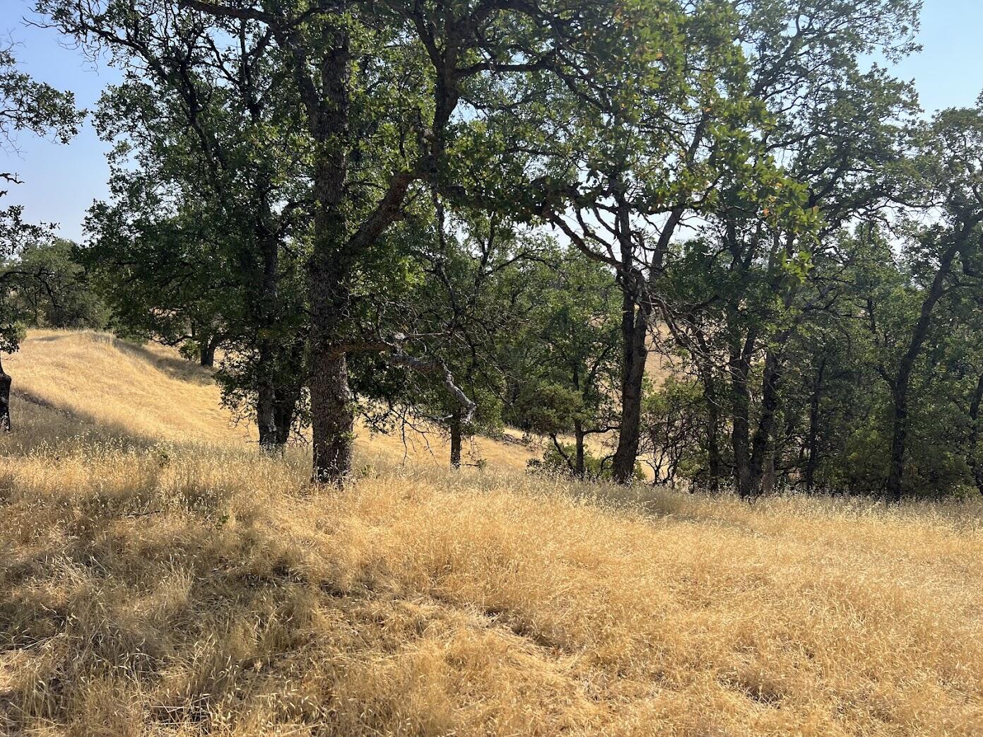 17125 Quail Ridge Road Cottonwood, CA 96022 - Photo 12 of 24 a view of outdoor space and covered with snow