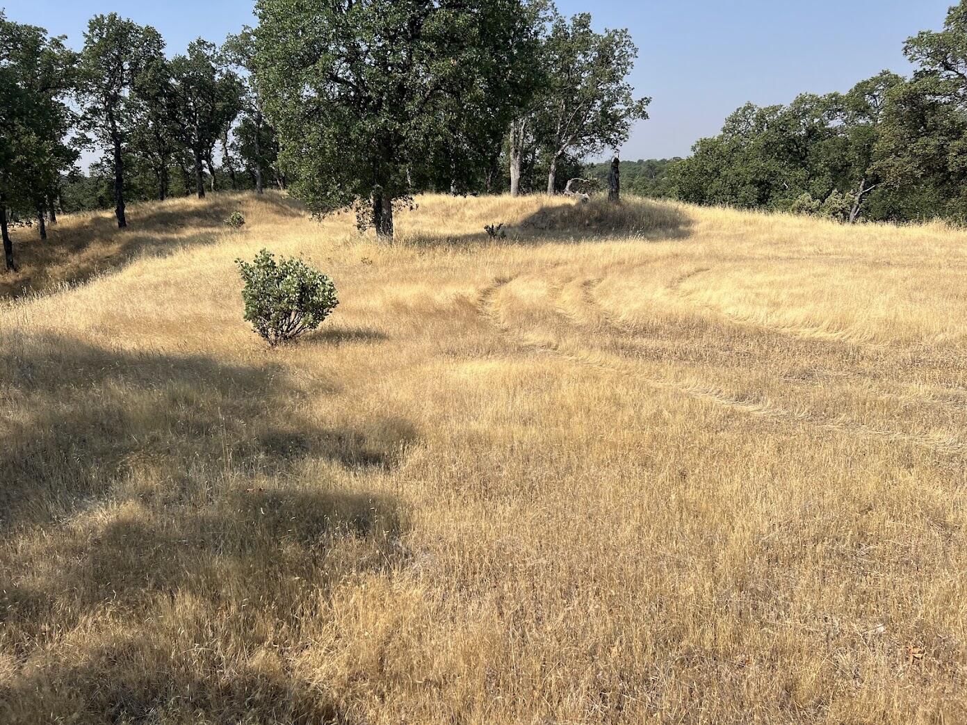 17125 Quail Ridge Road Cottonwood, CA 96022 - Photo 14 of 24 a view of yard covered with snow