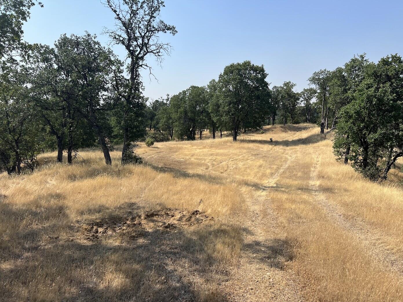 17125 Quail Ridge Road Cottonwood, CA 96022 - Photo 15 of 24 a view of empty space with trees