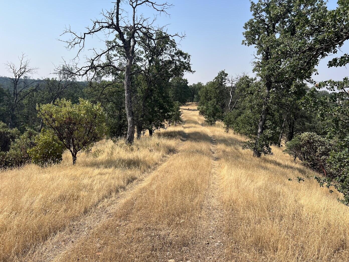 17125 Quail Ridge Road Cottonwood, CA 96022 - Photo 16 of 24 a view of a yard covered in snow