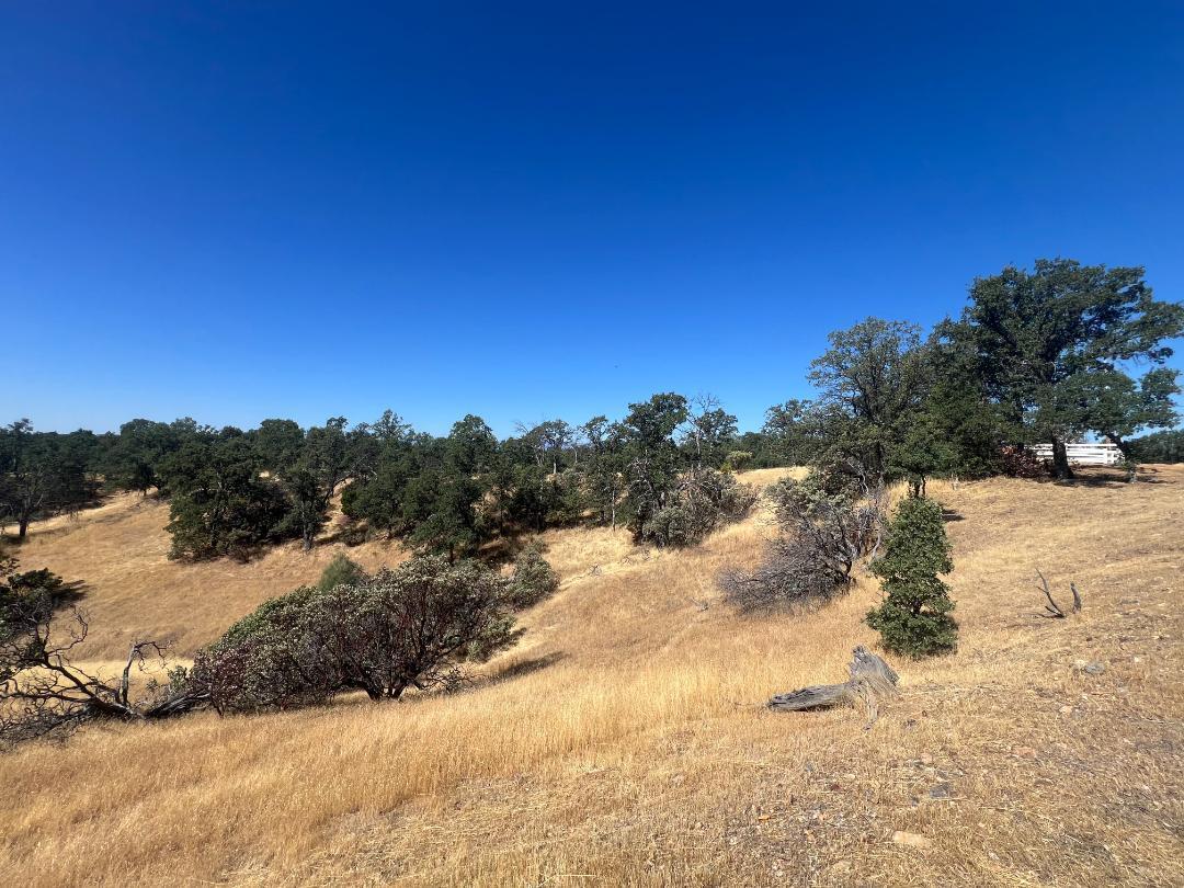 17125 Quail Ridge Road Cottonwood, CA 96022 - Photo 19 of 24 a view of a snow on a beach