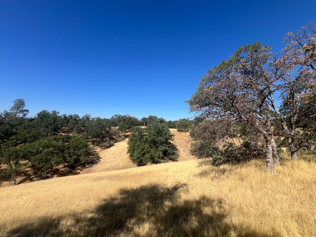 17125 Quail Ridge Road Cottonwood, CA 96022 - Photo 23 of 24 a view of mountain view with large trees