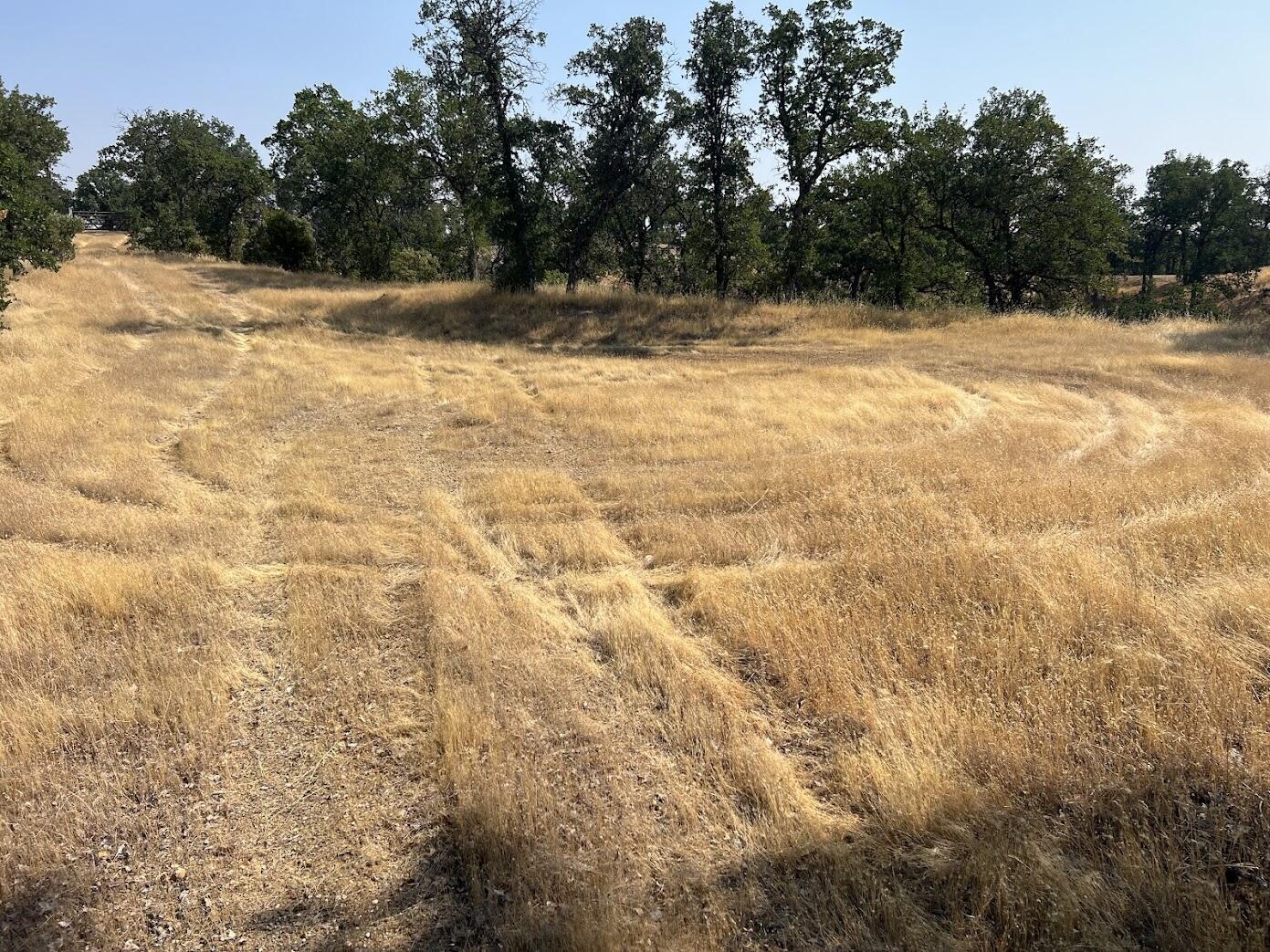 17125 Quail Ridge Road Cottonwood, CA 96022 - Photo 7 of 24 a view of a yard with a trees