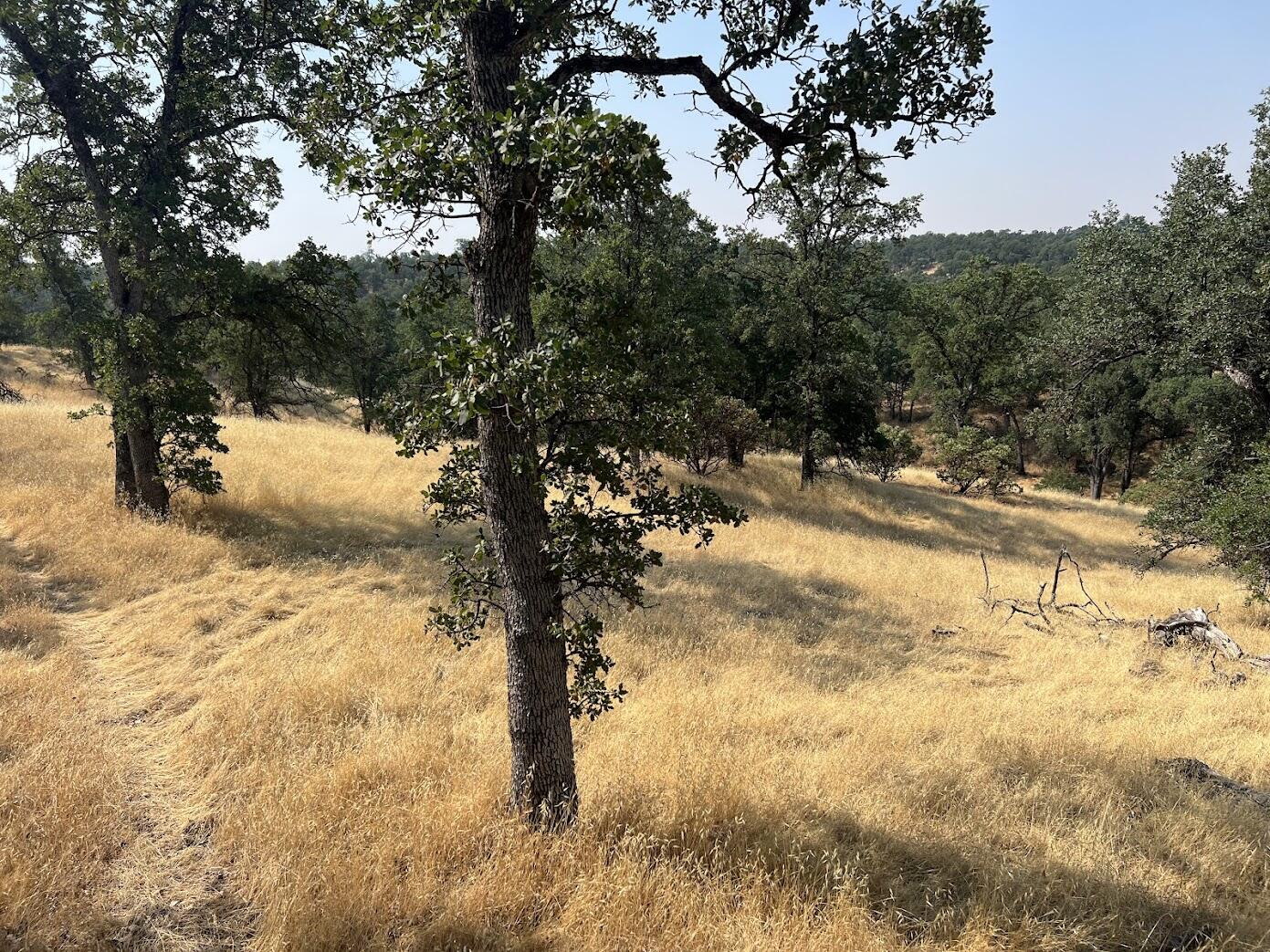 17125 Quail Ridge Road Cottonwood, CA 96022 - Photo 9 of 24