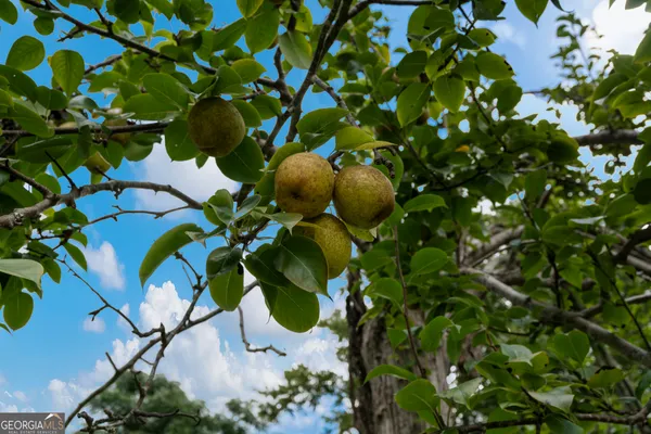 a backyard of a house with wooden floor a barbeque oven and outdoor seating
