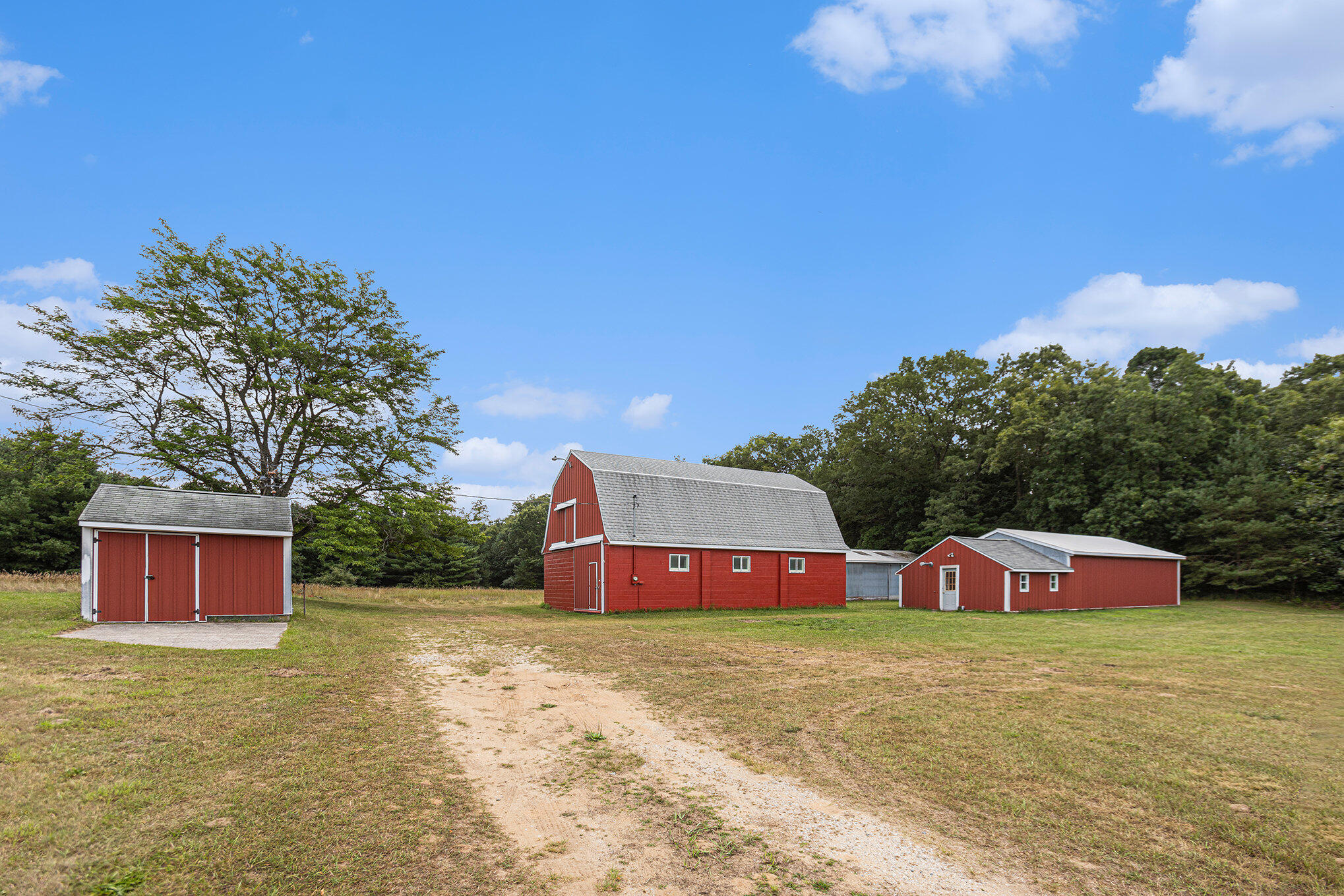 2576 Bass Lake Road Pierson, MI 49339 - Photo 8 of 58 056_bass_lake_71