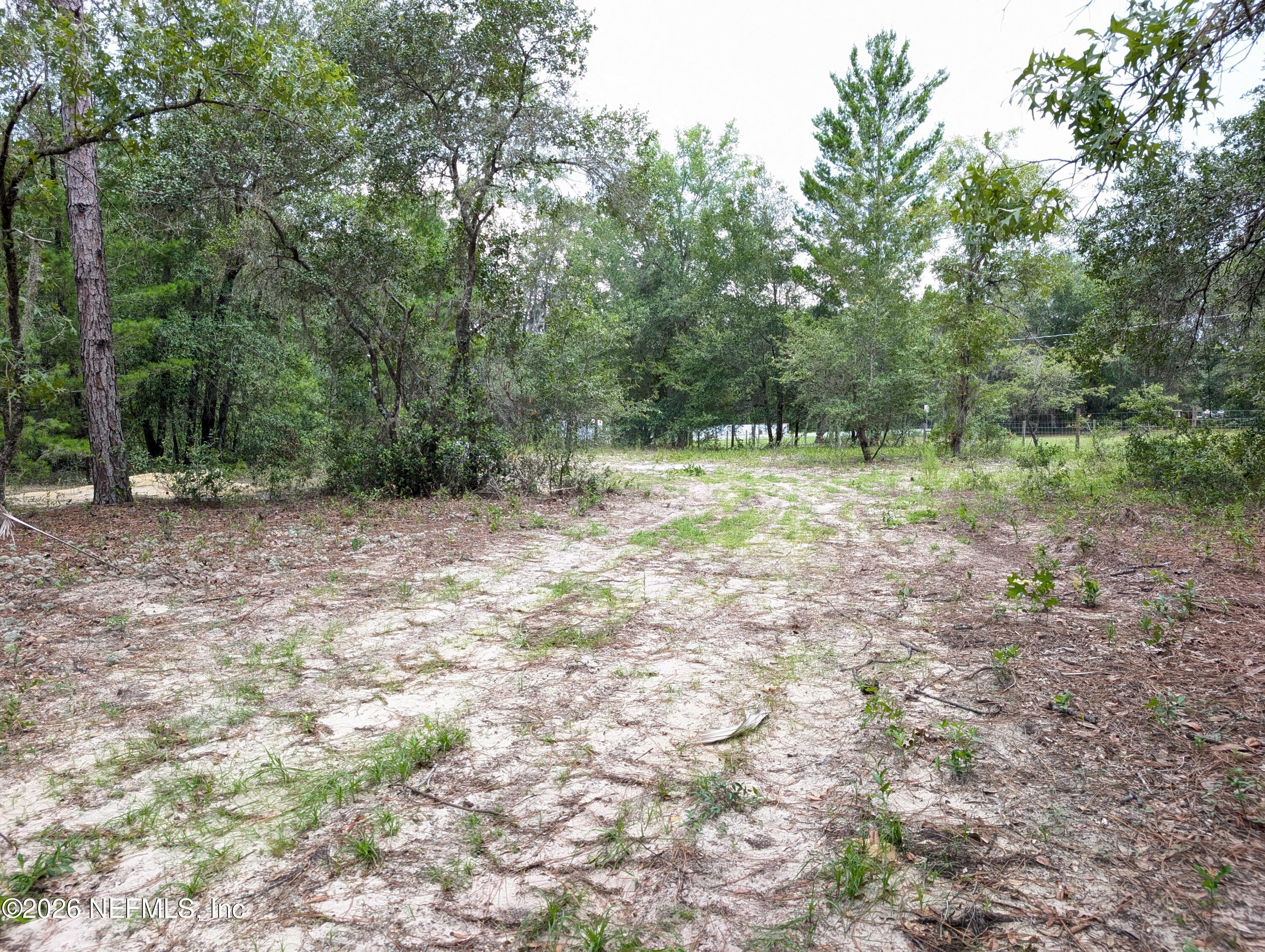 238 Keuka Road Interlachen, FL 32148 - Photo 8 of 11 238 KEUKA RD 04