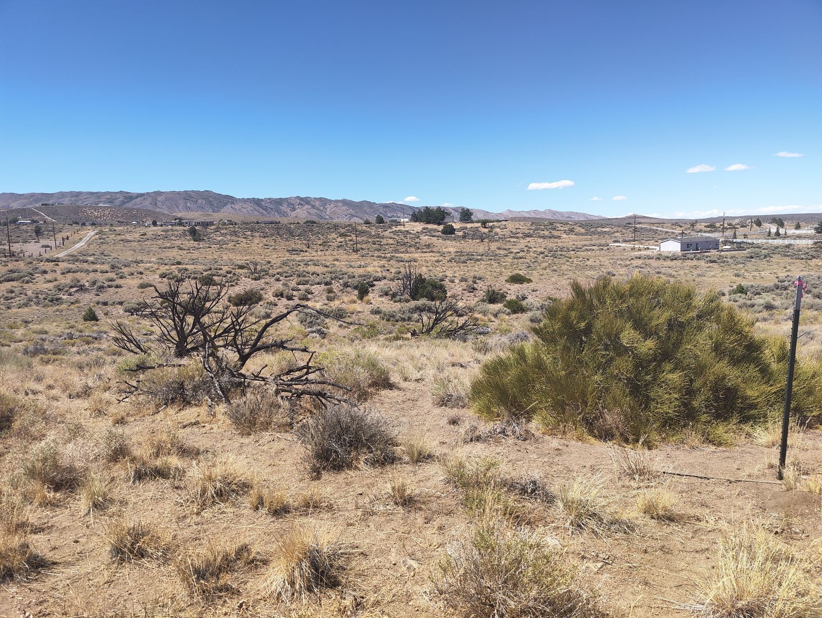 Bedell Road Reno, NV 89508 - Photo 11 of 15