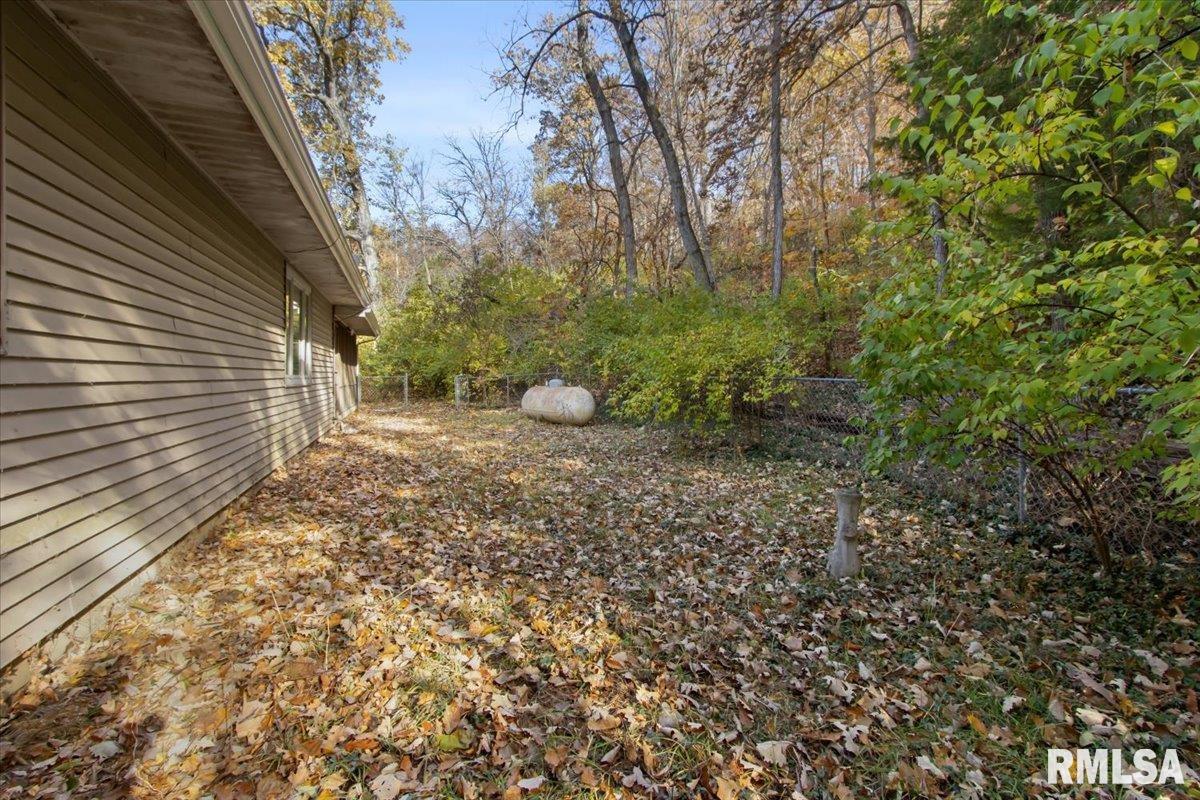 678 Banta Road Lowpoint, IL 61545 - Photo 33 of 40