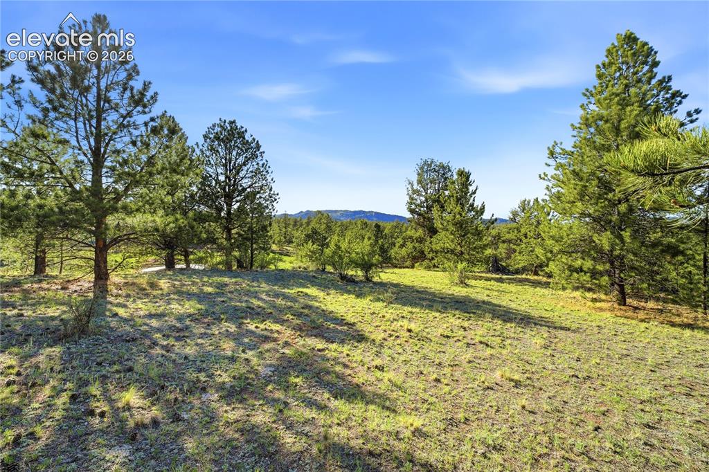Doe Valley Road Guffey, CO 80820 - Photo 10 of 19