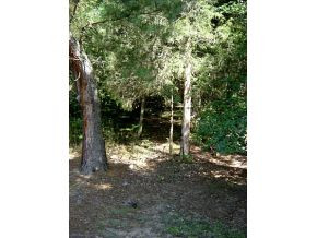 31811 Cornett Road Damascus, VA 24236 - Photo 8 of 9 Photo 8