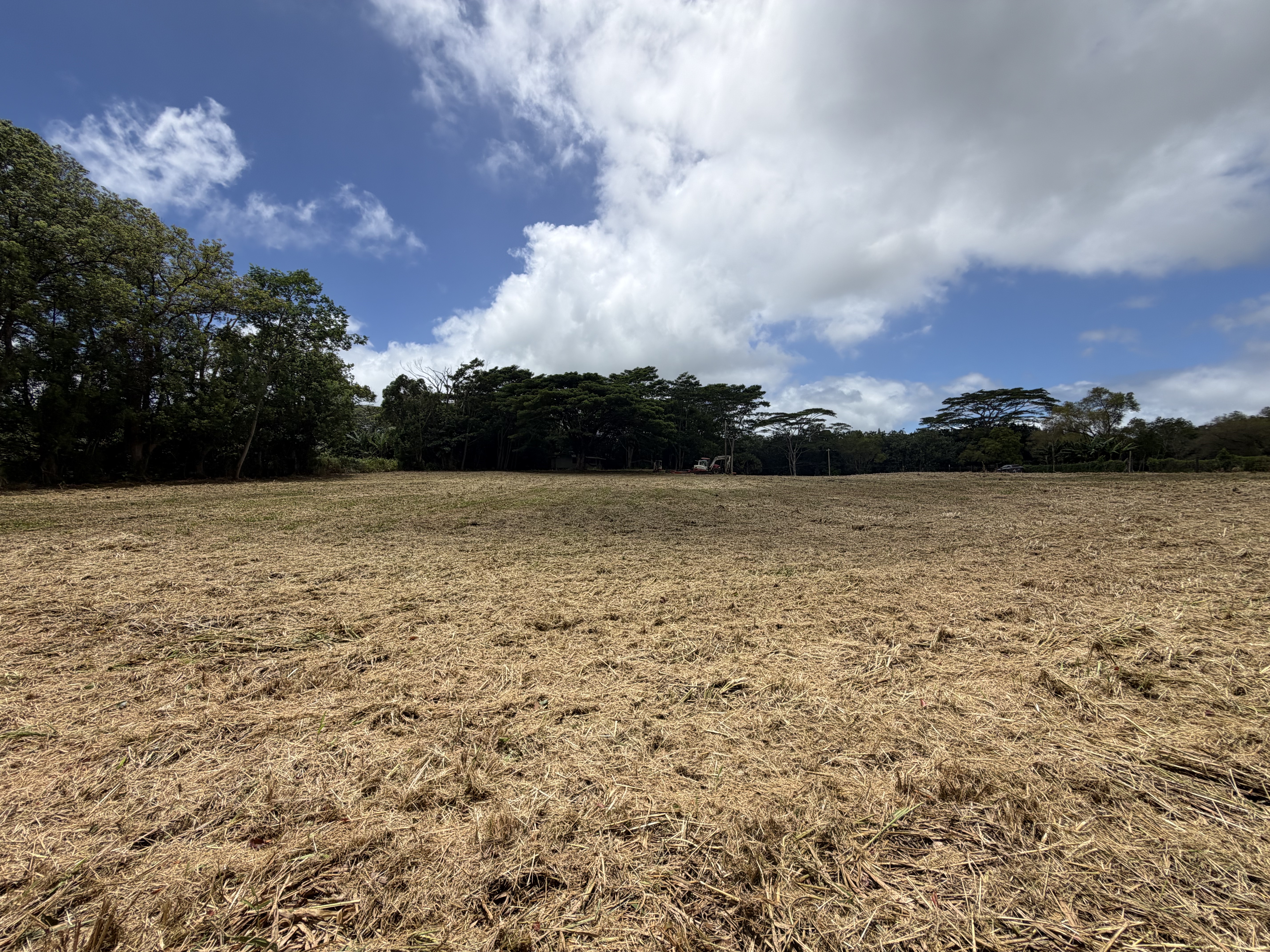 Kahuna Road Kapaa, HI 96746 - Photo 8 of 12 Gallery Image 8
