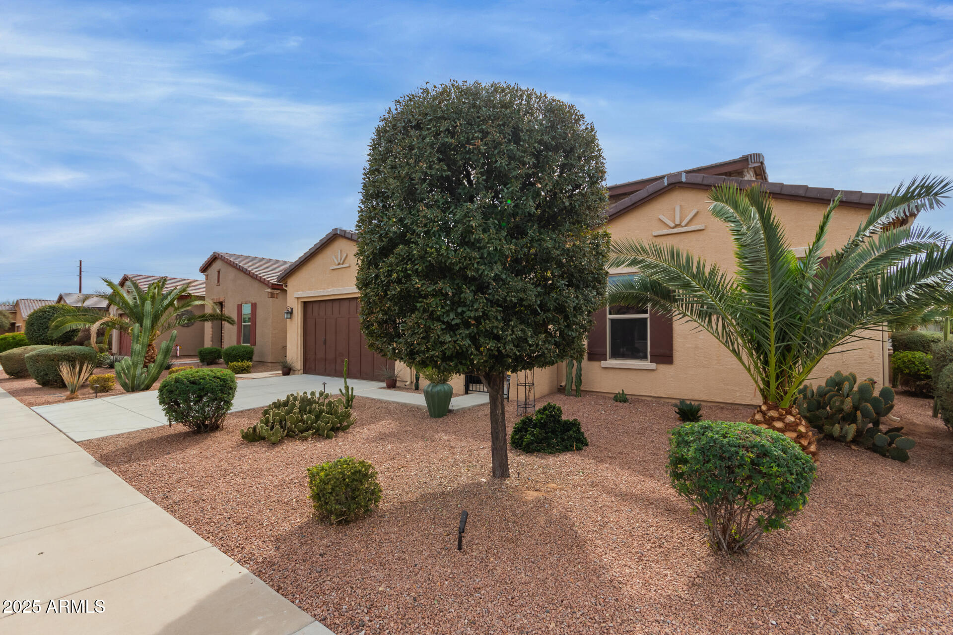 41737 West Cribbage Road Maricopa, AZ 85138 - Photo 3 of 35 a front view of a house with a yard and potted plants