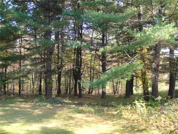 Lot 9 Piper Road West Springfield, MA 01089 - Photo 5 of 7 Gallery Image 5