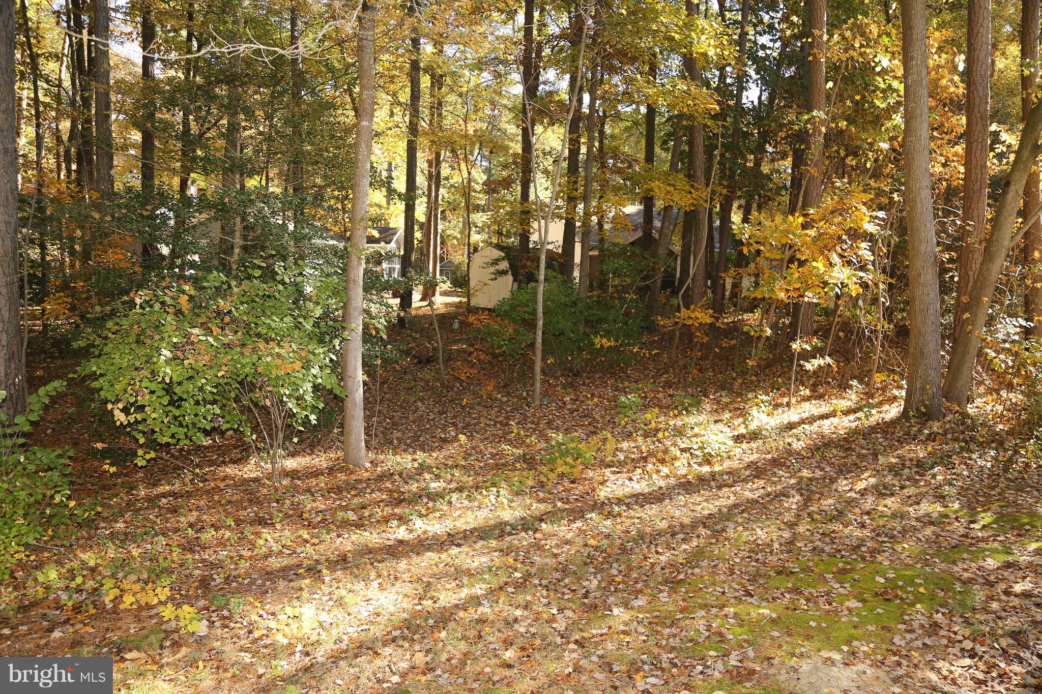 43 Falcon Bridge Road Ocean Pines, MD 21811 - Photo 30 of 30 a backyard of a house with lots of green space