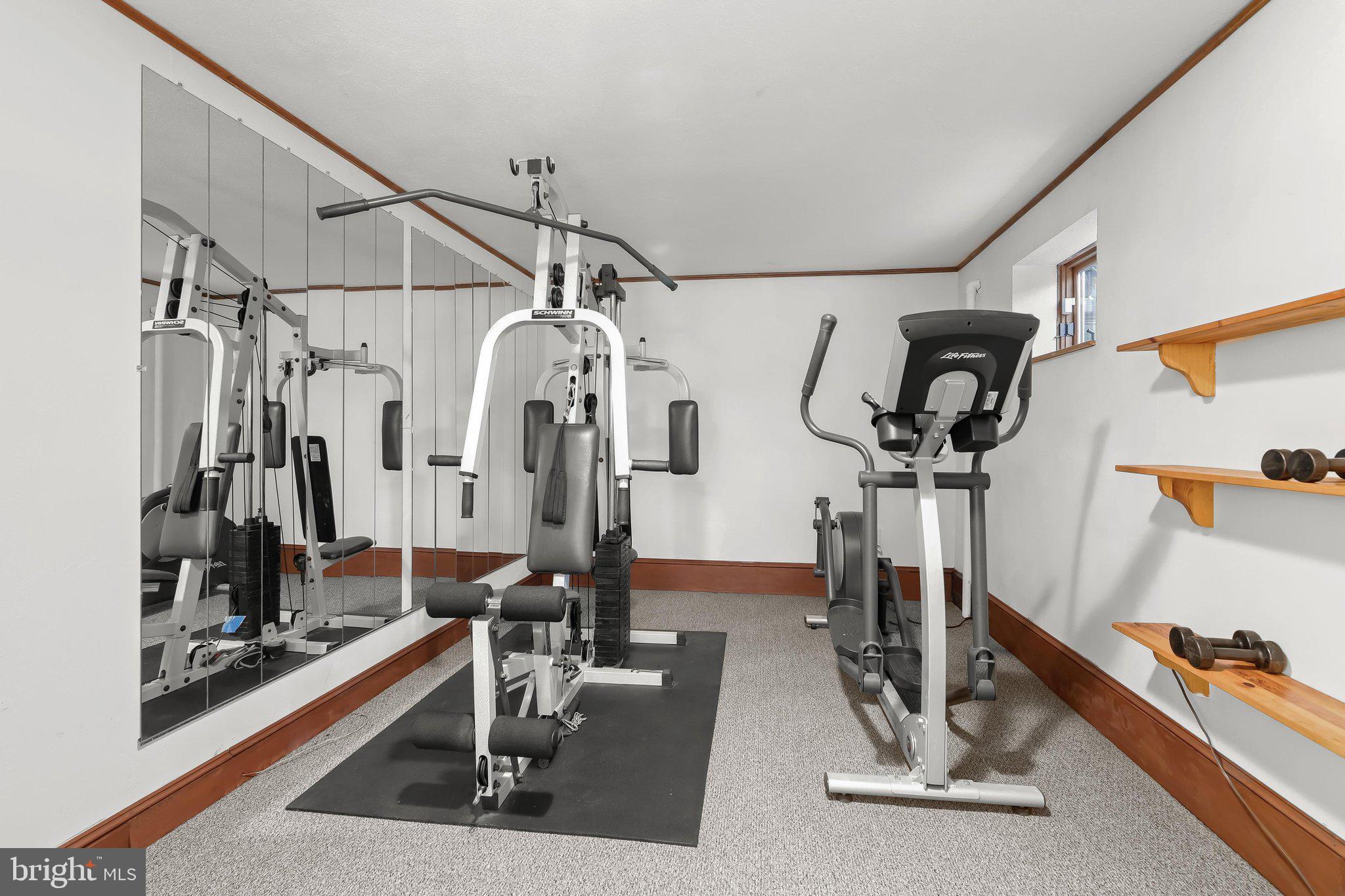 3903 Dance Mill Road Phoenix, MD 21131 - Photo 46 of 79 Exercise Room