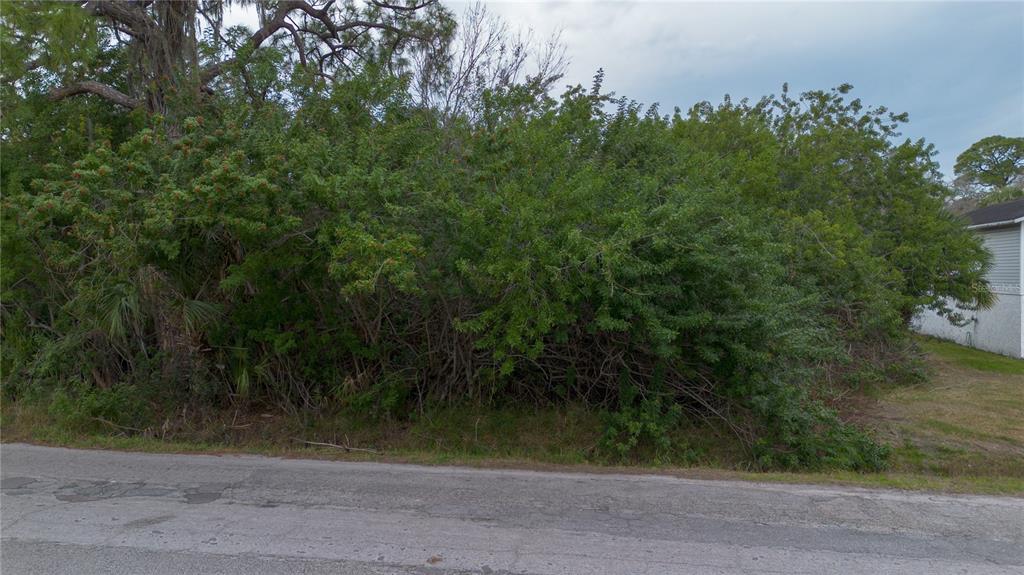 6317 Oelsner Street New Port Richey, FL 34652 - Photo 4 of 8 an aerial view of a yard