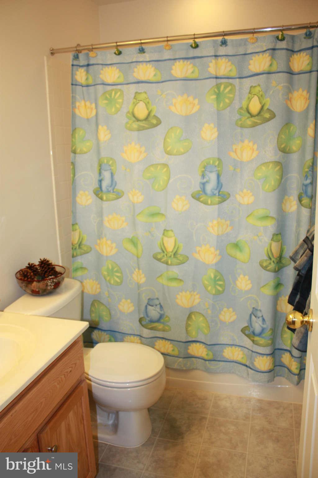 634 Hunters Road Culpeper, VA 22701 - Photo 22 of 22 Full Bath in Basement