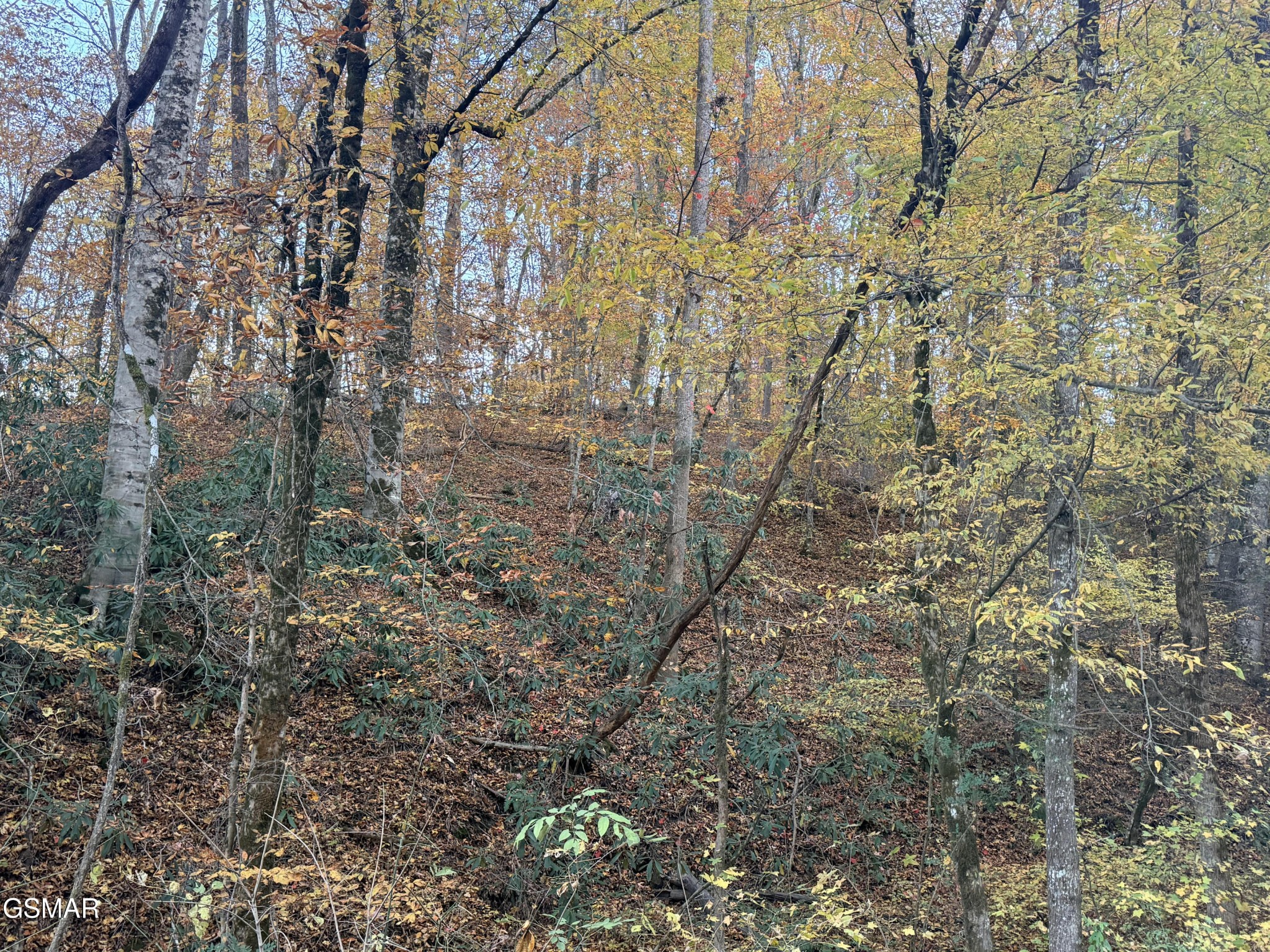 4243 Deerfoot Road Cosby, TN 37722 - Photo 5 of 7 Gallery Image 5