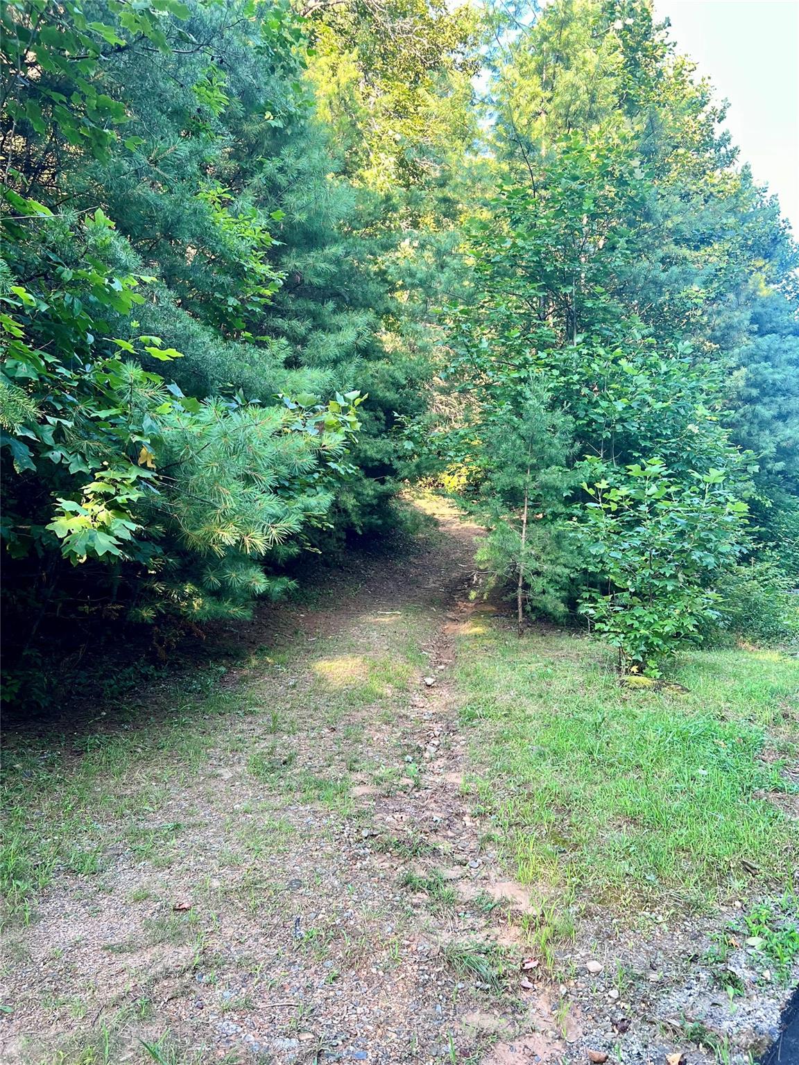 1309 Rd Lake Lake Toxaway, NC 28747 - Photo 2 of 3