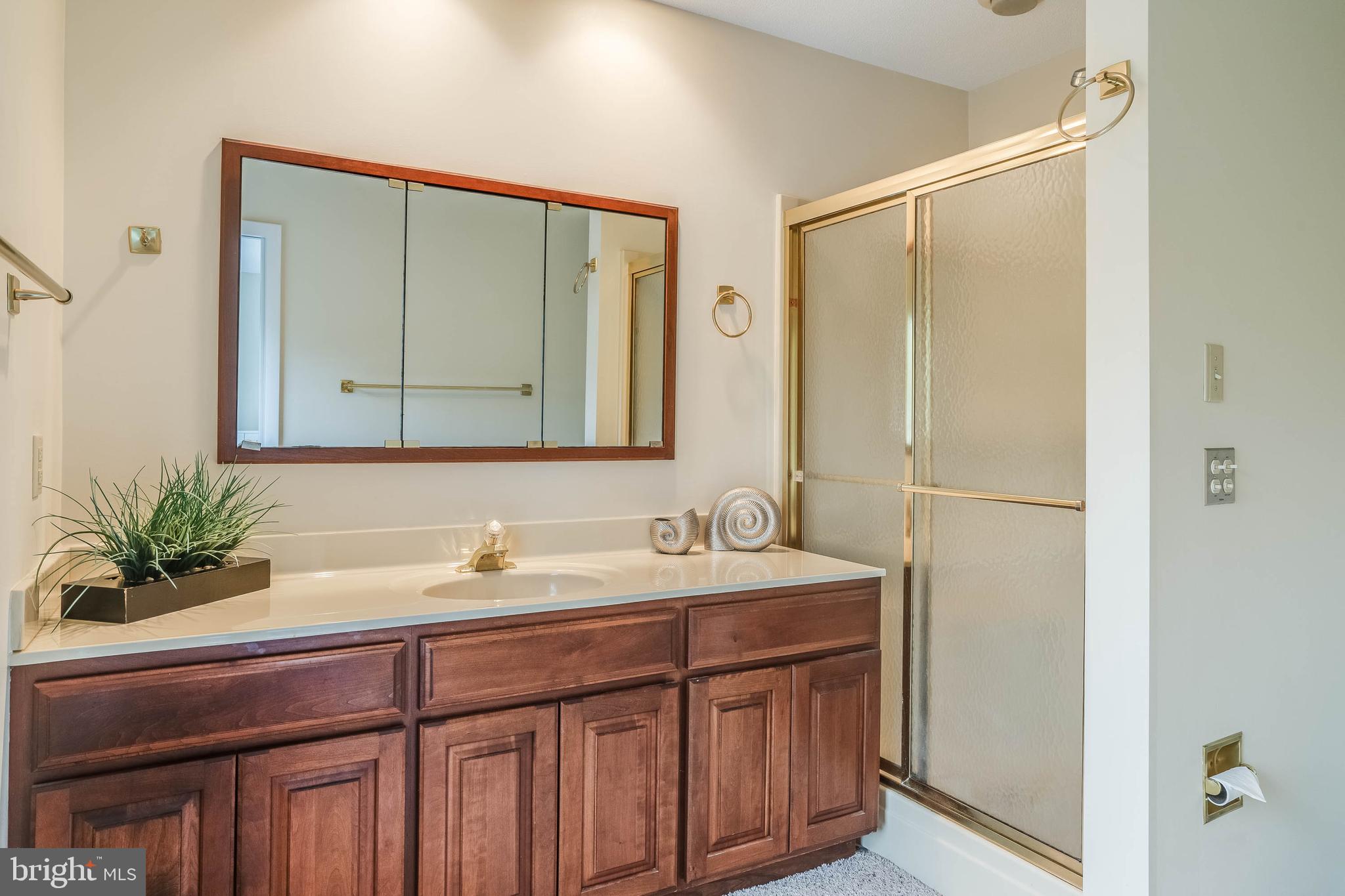 39687 Kittiwake Road Bethany Beach, DE 19930 - Photo 22 of 61 Master bathroom