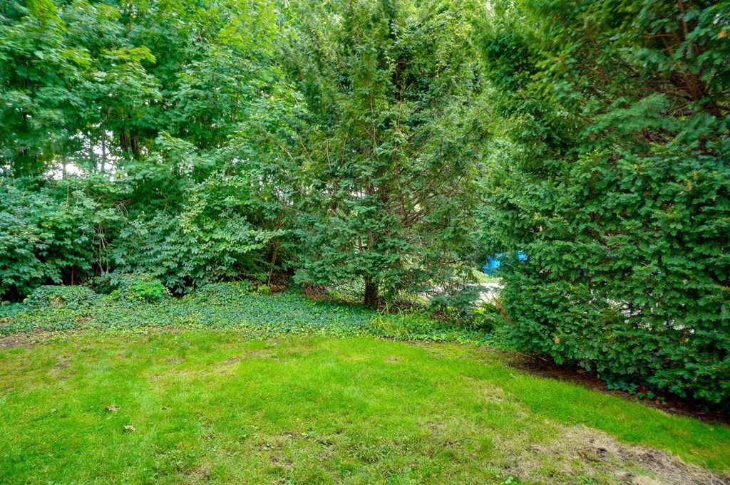 31-33 Channing Road Belmont, MA 02478 - Photo 28 of 28 Gallery Image 28