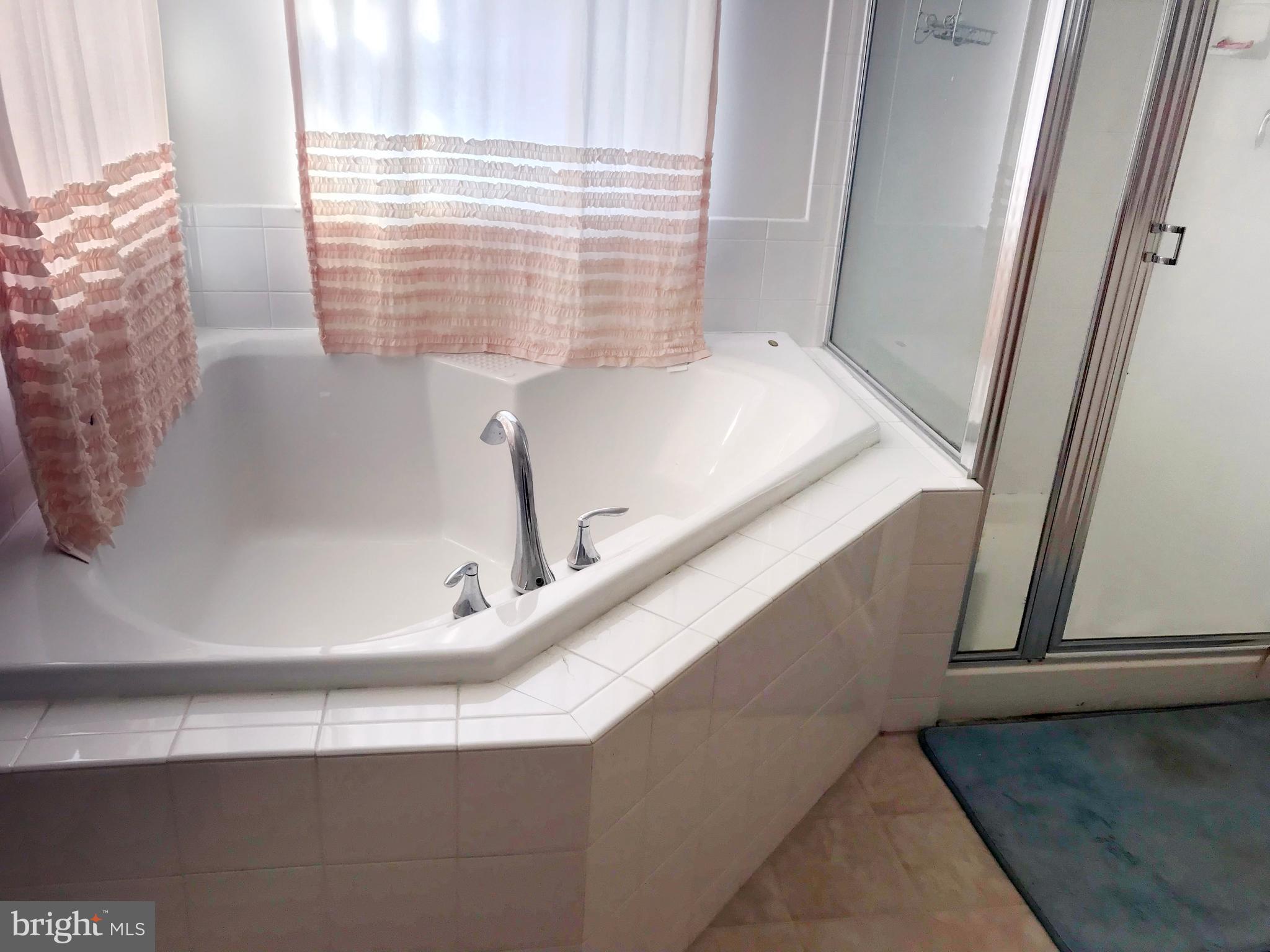 9723 Davison Road Baltimore, MD 21220 - Photo 22 of 26 Bath (Master)