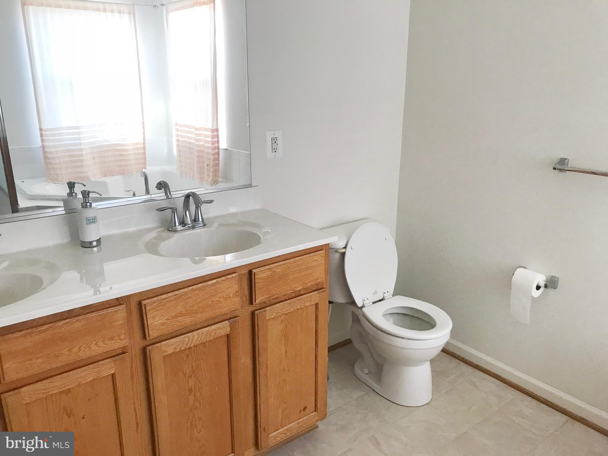 9723 Davison Road Baltimore, MD 21220 - Photo 23 of 26 Bath (Master)