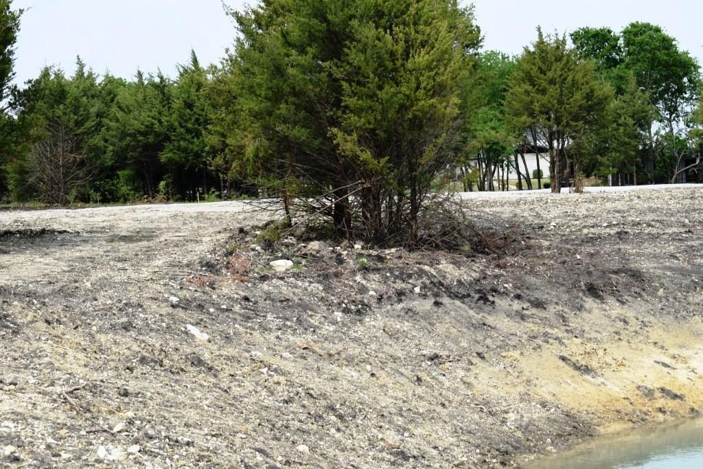 730 Cheyenne Trail Trenton, TX 75490 - Photo 12 of 19 a view of outdoor space and yard