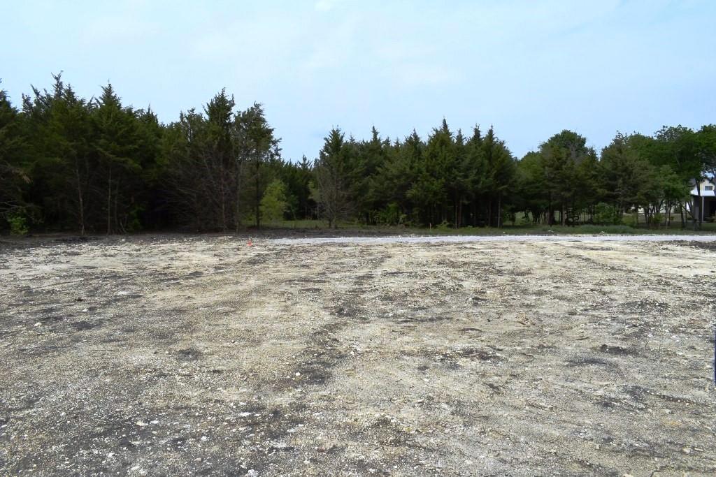 730 Cheyenne Trail Trenton, TX 75490 - Photo 13 of 19 a view of a dry yard