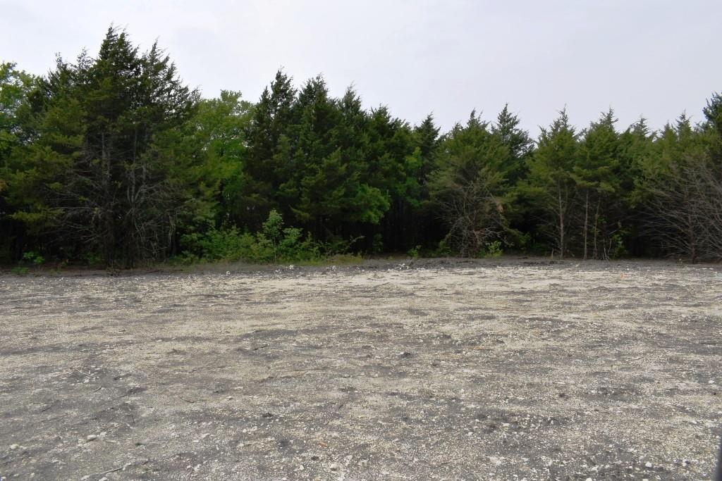 730 Cheyenne Trail Trenton, TX 75490 - Photo 14 of 19 a view of outdoor space