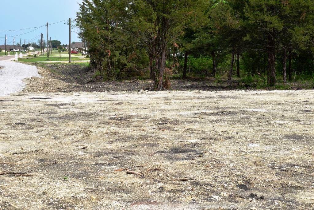730 Cheyenne Trail Trenton, TX 75490 - Photo 19 of 19 a view of a yard with a tree