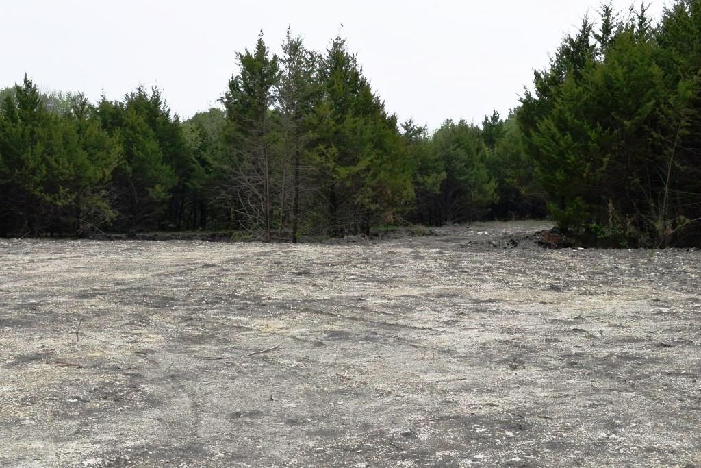 730 Cheyenne Trail Trenton, TX 75490 - Photo 6 of 19 a view of a yard