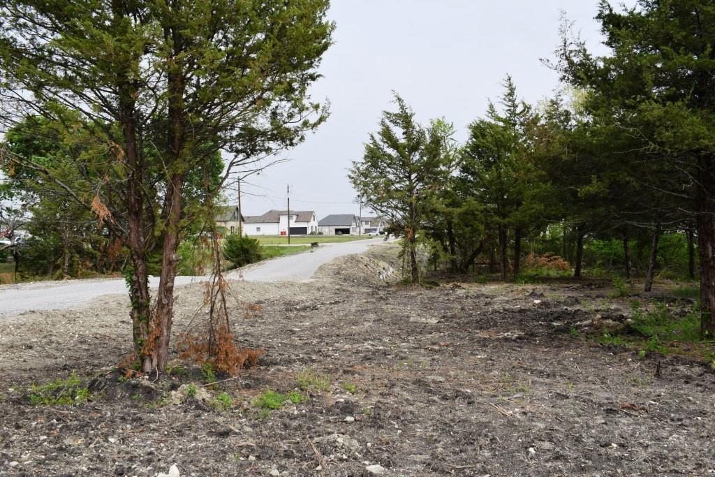 730 Cheyenne Trail Trenton, TX 75490 - Photo 8 of 19 a view of a yard with a tree