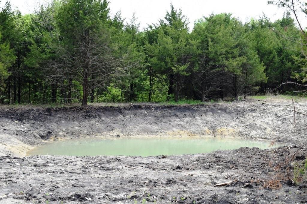 730 Cheyenne Trail Trenton, TX 75490 - Photo 9 of 19 a view of a lake view with plants