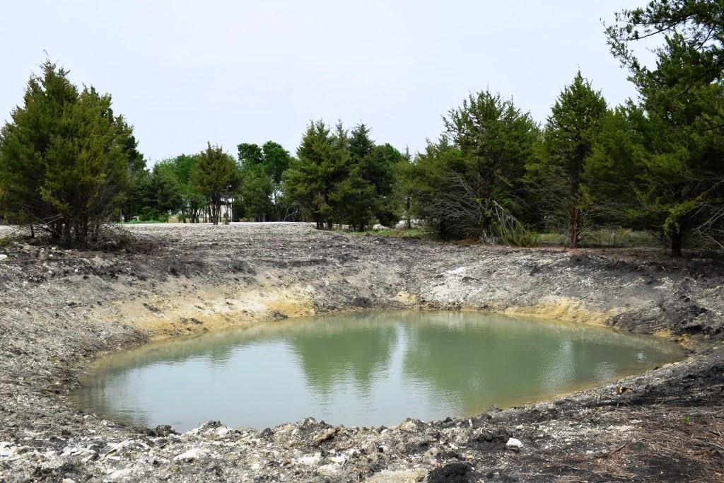 730 Cheyenne Trail Trenton, TX 75490 - Photo 10 of 19 a view of a lake from a yard