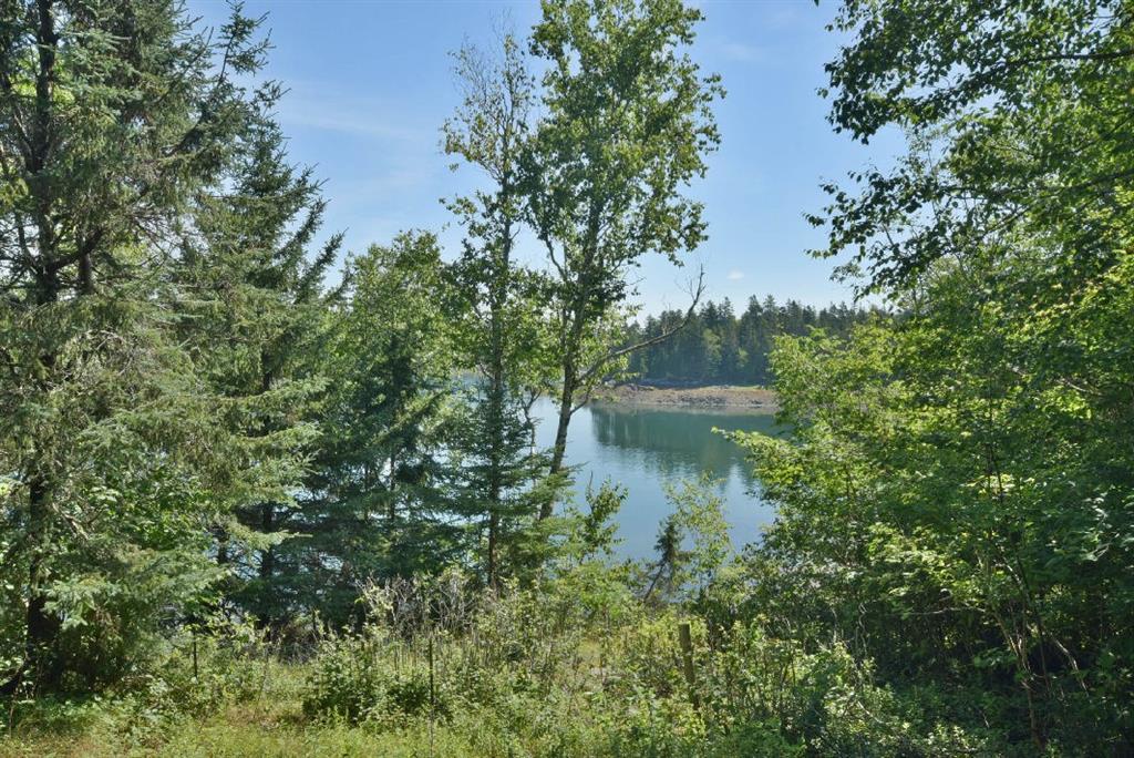 25 Kelly Point Road Lubec, ME 04652 - Photo 11 of 22 View from Annex