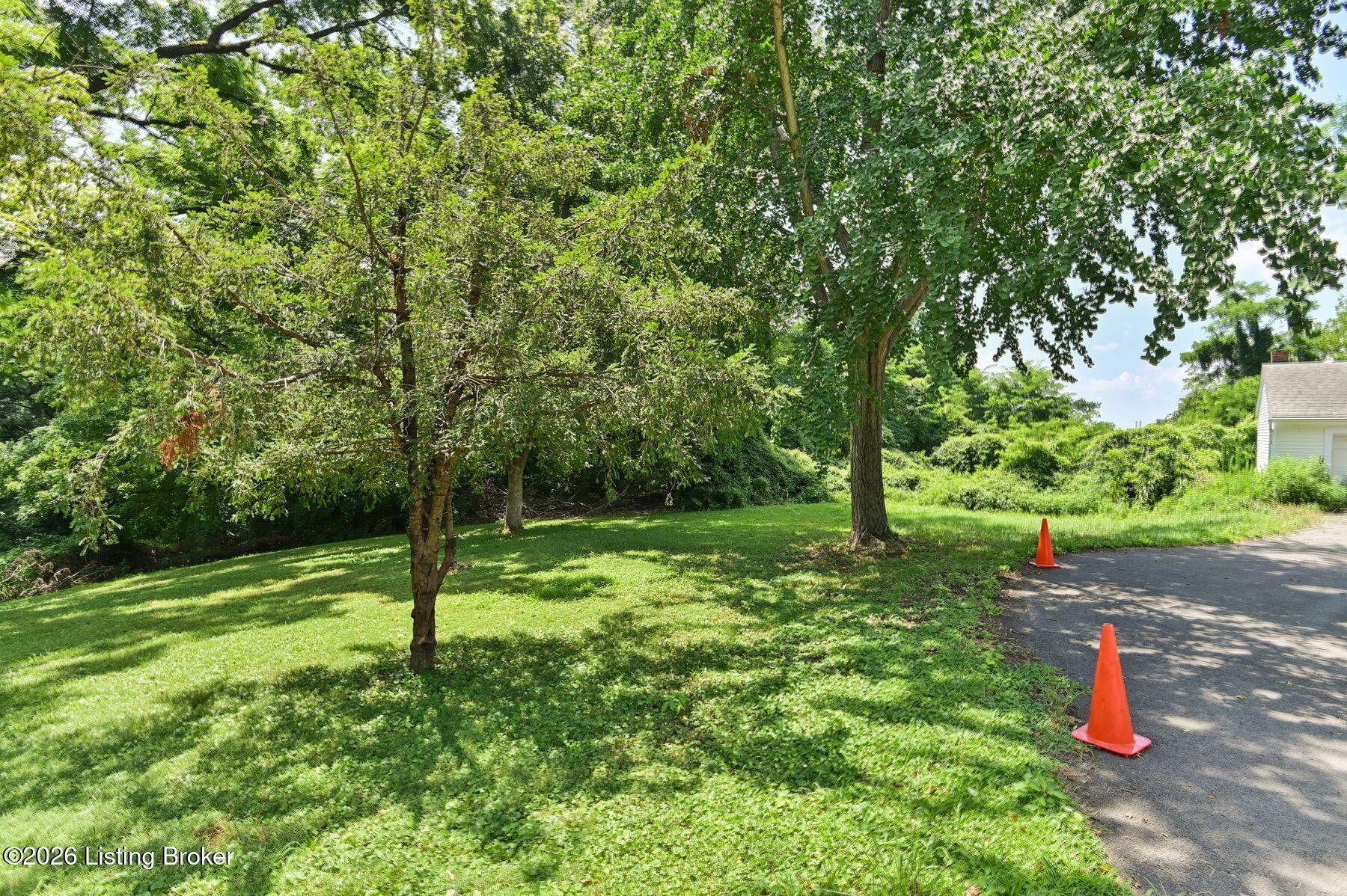 65 Warren Road Louisville, KY 40206 - Photo 7 of 10 photo_online_007