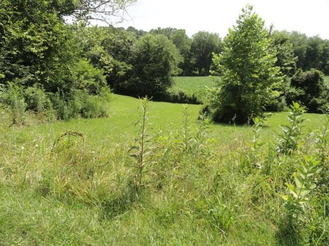 5395 Patricksburg Road Spencer, IN 47460 - Photo 19 of 24 Gallery Image 19