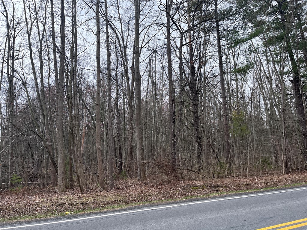 0 Packwood Road Geneva, NY 14456 - Photo 2 of 9