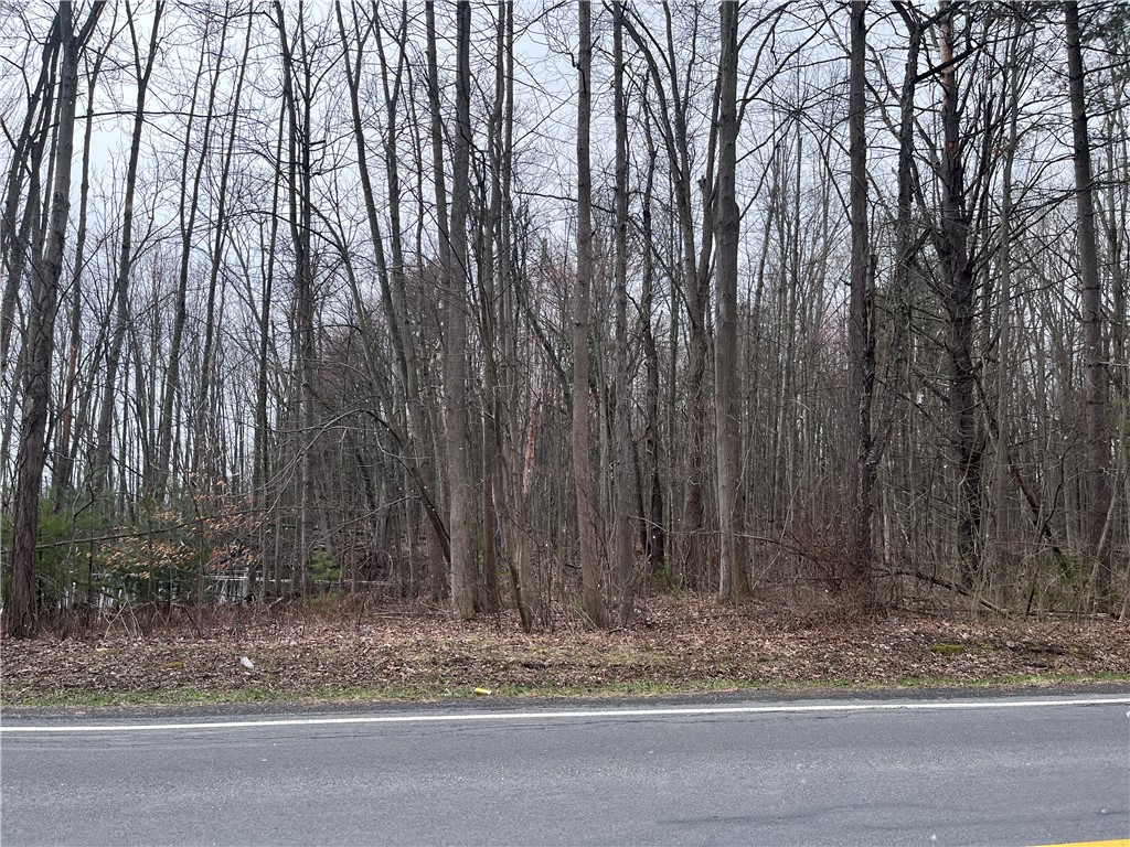 0 Packwood Road Geneva, NY 14456 - Photo 3 of 9