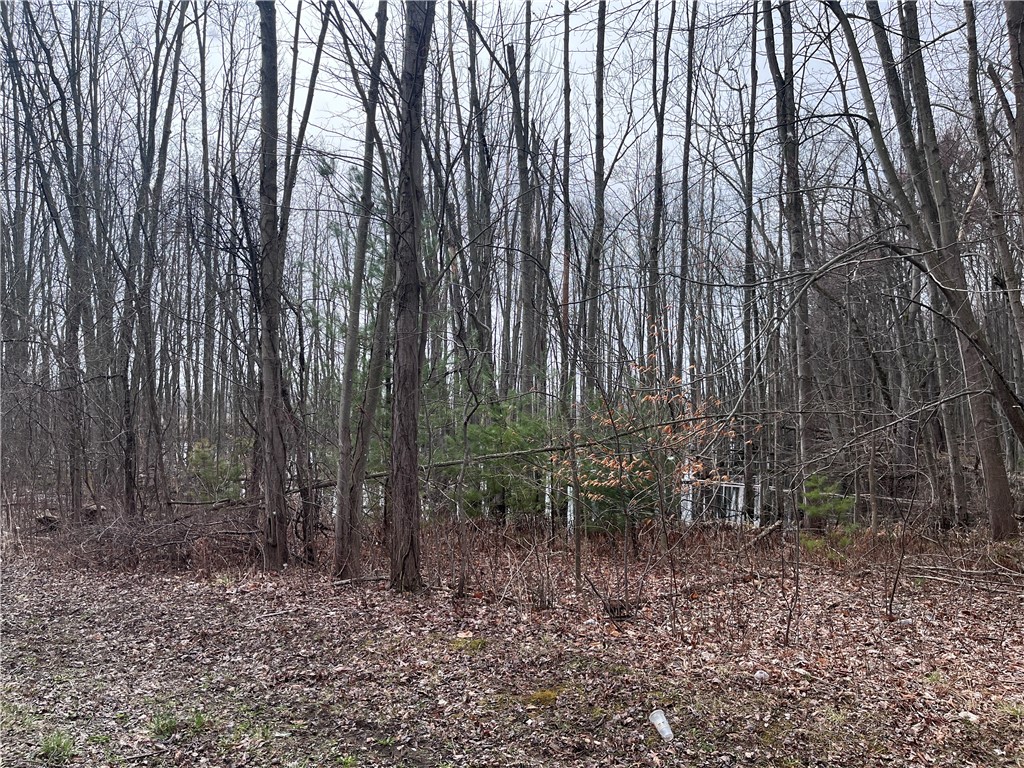 0 Packwood Road Geneva, NY 14456 - Photo 4 of 9