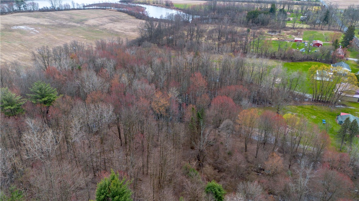 0 Packwood Road Geneva, NY 14456 - Photo 6 of 9