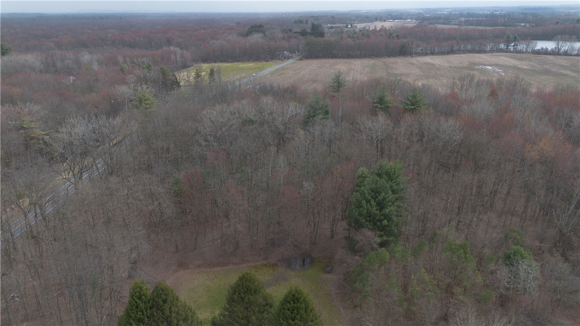 0 Packwood Road Geneva, NY 14456 - Photo 8 of 9