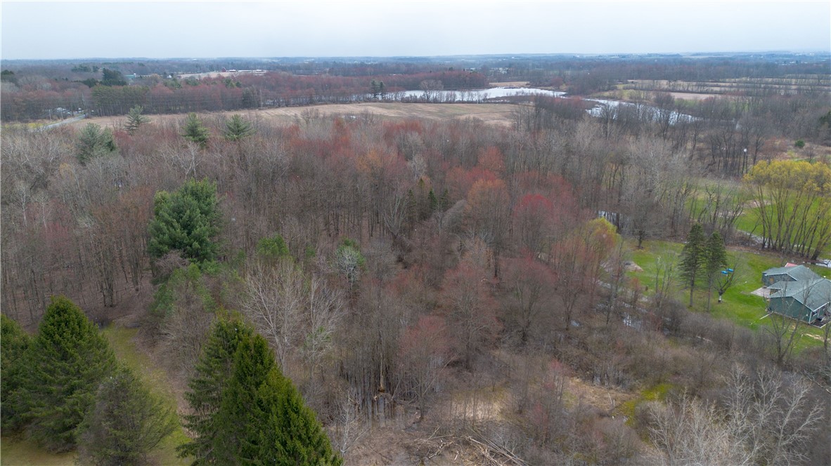 0 Packwood Road Geneva, NY 14456 - Photo 9 of 9